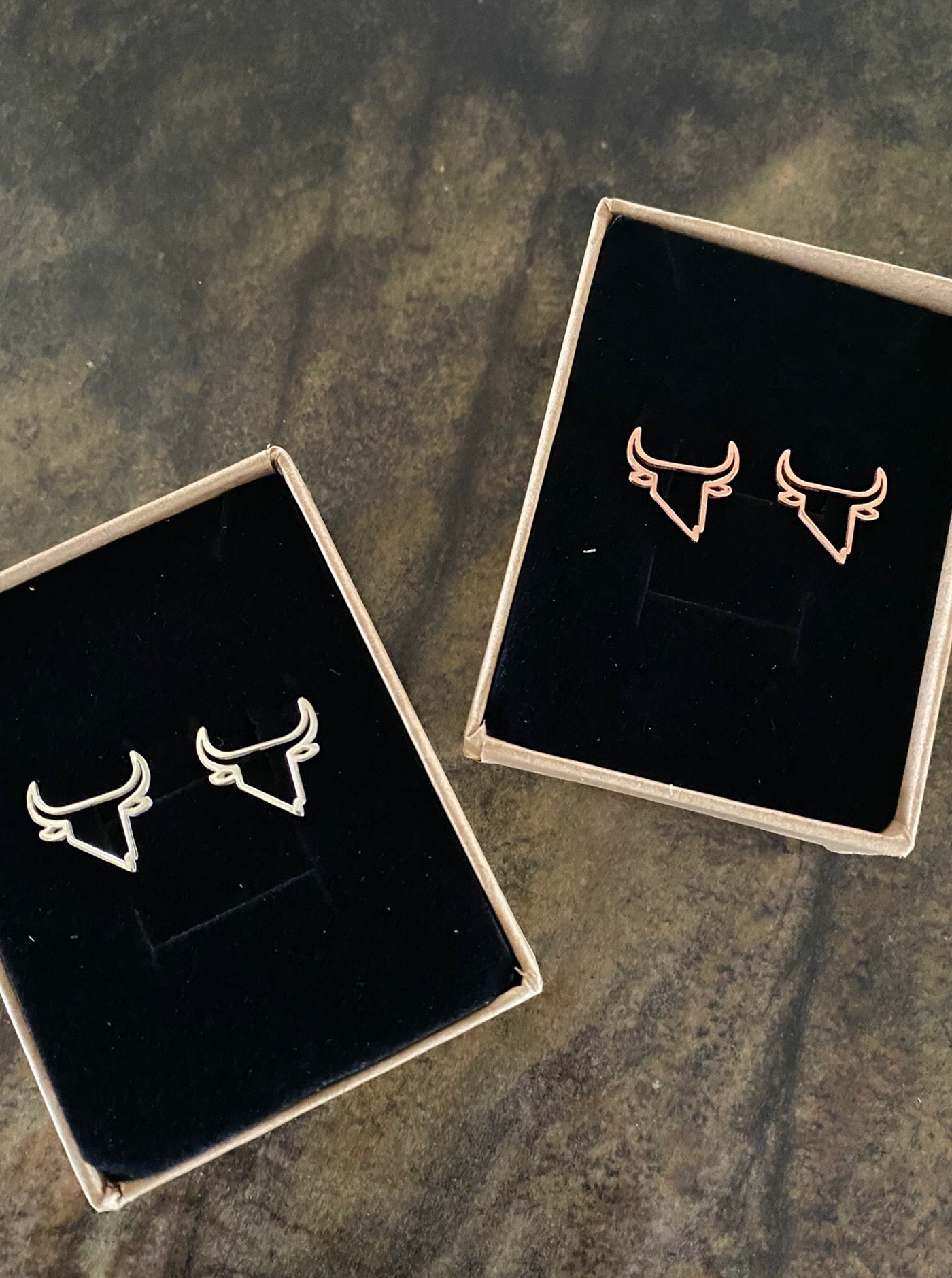 Silver State Earrings